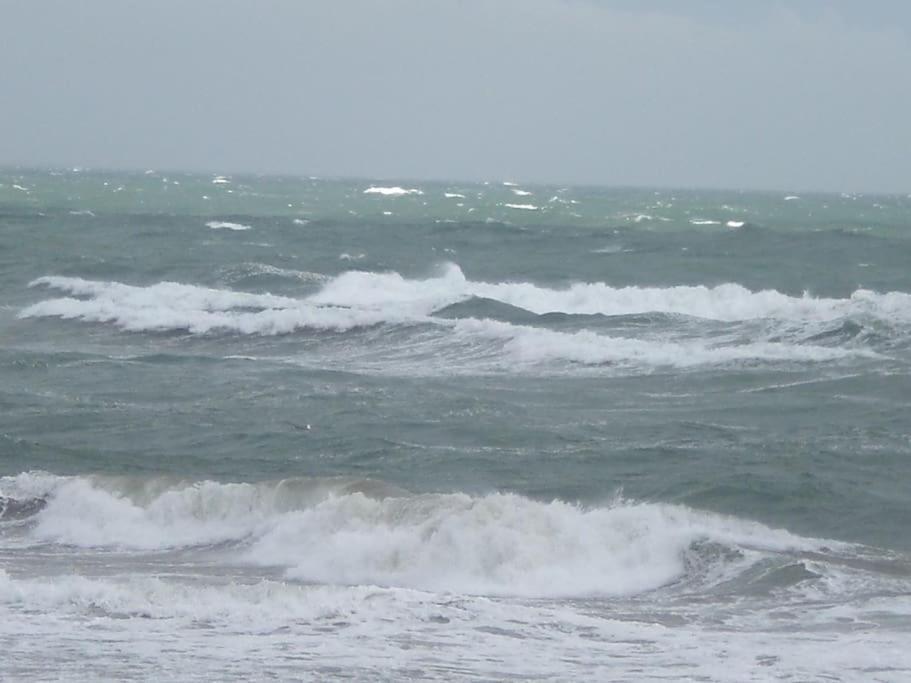 Un Sejour Les Pieds Dans L'eau * Palavas-les-Flots